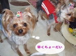 2007_0509 はる0043.jpg