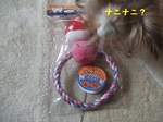 2007_0516 はる0041.jpg