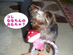 2007_0516 はる0044.jpg