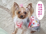 2007_0524 はる0063.jpg