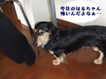 2007_0524 はる0065.jpg