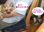 2007_0527 はる0118.jpg
