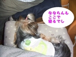 2007_0527 はる0120.jpg