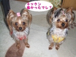 2007_0530 はる0058.jpg