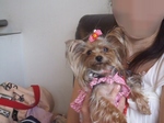 2007_0611 はる0067.jpg