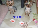 2007_0613 はる0103.jpg