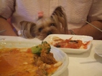 2007_0707 はる0114.jpg