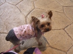 2007_0720 はる0084.jpg