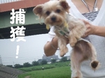 2007_0720 はる0089.jpg