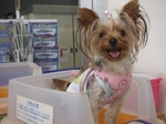 2007_0812 はる0047.jpg