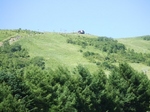 2007_0821 はる0131.jpg