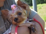 2007_0821 はる0132.jpg