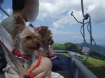 2007_0821 はる0146.jpg