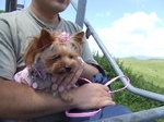 2007_0821 はる0147.jpg