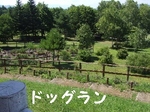 2007_0821 はる0153.jpg