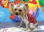 2007_0924 はる0066.jpg