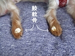 2007_1004 はる0065.jpg