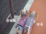 2007_1119 はる0063.jpg