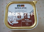 2007_1216 はる0077.jpg