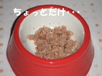2007_1216 はる0079.jpg