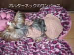 2007_1225 はる0057.jpg