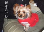 2008_0103 はる0050.jpg