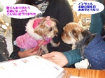 2008_0106 はる0048.jpg