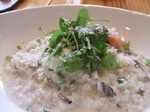 2008_0106 はる0058.jpg