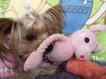 2008_0118 はる0057.jpg