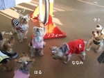 2008_0125 はる0075.jpg