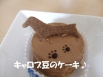 2008_0212 はる0063.jpg