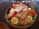 2008_0316 はる0058.jpg