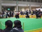 2008_0330 はる0045.jpg