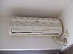 2008_0608 はる0029.jpg