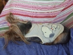 2008_0726 はる0041.jpg