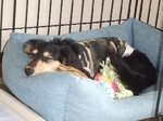 2008_0902 はる0058.jpg