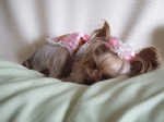 2008_0902 はる0059.jpg