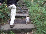2008_1125 はる0070.jpg
