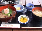 2008_1125 はる0092.jpg