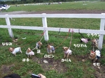 集合ハ真.jpg