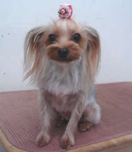 20071115.jpg