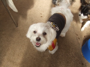2007_0312 ケンケン君.jpg