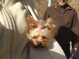 2007_0314 はる0087.jpg