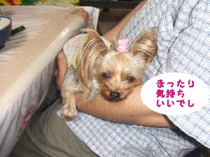 2007_0527 はる0117.jpg