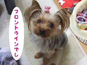 2007_0610 はる0057.jpg