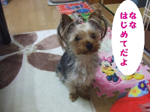 2007_0610 はる0058.jpg