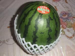 2007_0613 はる0096.jpg