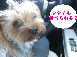 2007_0620 はる0055.jpg