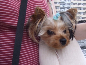 2007_0712 はる0068.jpg