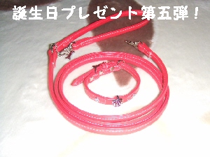 2007_0712 はる0059.jpg